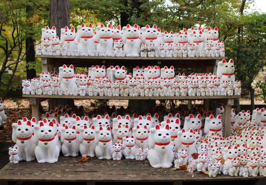 Tokyo: Gotokuji Temple and Shimokitazawa Day Tour - A Detailed Look at the Tour