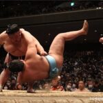 Tokyo Grand Sumo Tournament Viewing Tour - Frequently Asked Questions