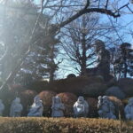 Tokyo: Great Buddha, Museums, Botanical Garden and More - FAQ