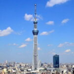 Tokyo: Guided Exploration with a Private Driver - A Detailed Look at the Tokyo Private Tour Experience