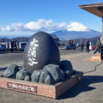 Tokyo: Hakone Fuji Day Tour w/ Cruise, Cable Car, Volcano - Who Should Consider This Tour?