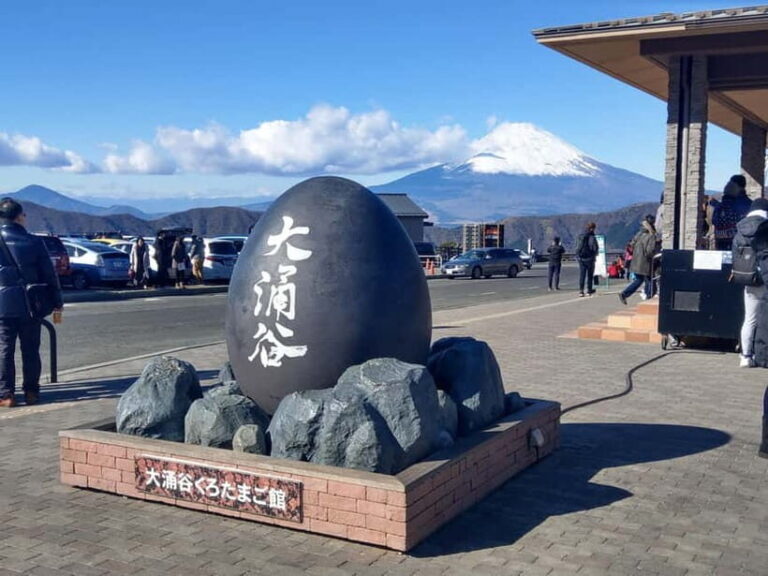 Tokyo: Hakone Fuji Day Tour w/ Cruise, Cable Car, Volcano - Who Should Consider This Tour?