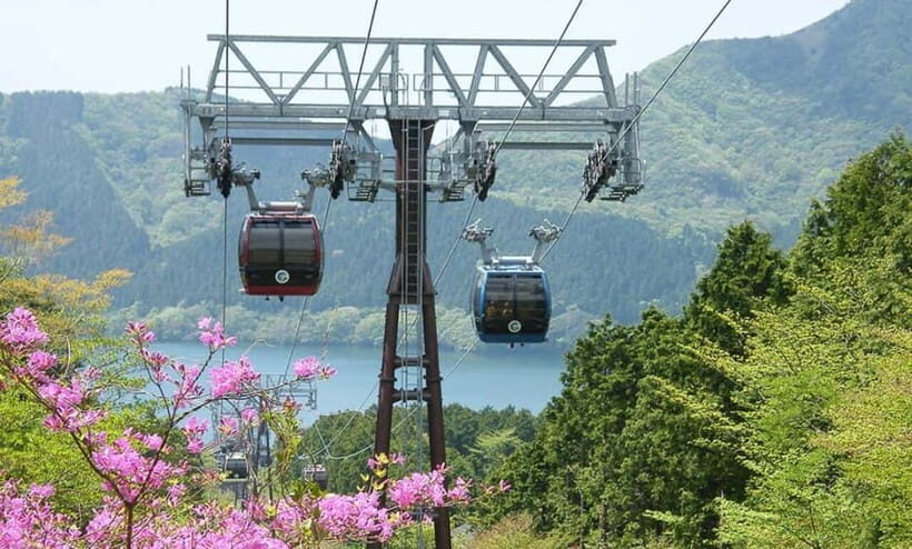 Tokyo: Hakone, Lake Ashi & Gotemba Outlets Day Trip - Who Will Love This Tour?
