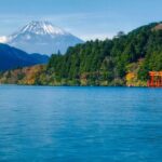 Tokyo Hakone : Mt.Fuji, Owakudani, Open Air Museum, Hakone Shrine - Practical Details and Tips for Your Trip