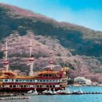 Tokyo : Hakone Onsen Nature & Art Lake Ashi private day tour - Who Is This Tour Ideal For?
