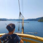 Tokyo: Hakone Private Day Trip with English Speaking Driver - Who Would Love This Tour?