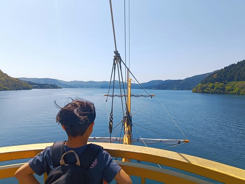 Tokyo: Hakone Private Day Trip with English Speaking Driver - Who Would Love This Tour?