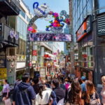 Tokyo: Half-Day Afternoon Small Group Tour - Who Will Enjoy This Tour?