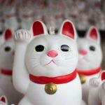 Tokyo Half-day Customized Private Tour - Practical Tips and Considerations