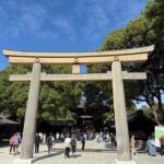 Tokyo: Harajuku From Meiji shrine to Shibuya Crossing - Exploring the Highlights in Detail