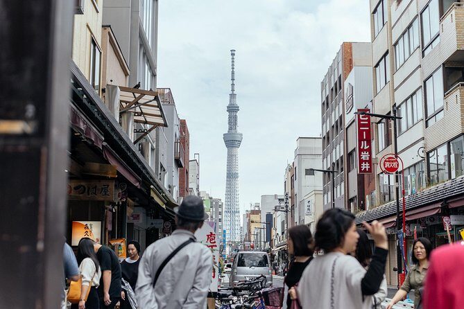 Tokyo History: Sensoji Temple & Asakusa District Private Tour - A Deep Dive into the Tokyo History: Sensoji Temple & Asakusa District Tour