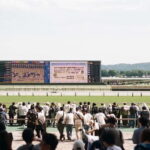 Tokyo: Horse Racing Tour with Local Fan - Final Thoughts
