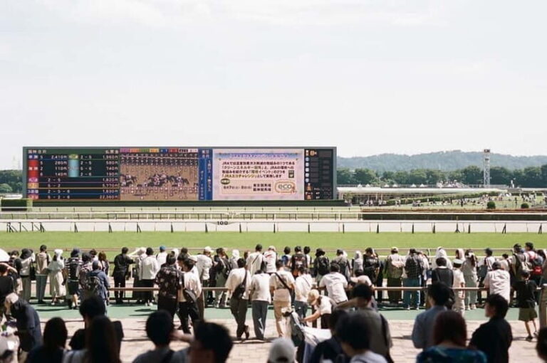 Tokyo: Horse Racing Tour with Local Fan - Final Thoughts