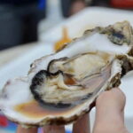 Tokyo: Ibaraki Day Trip with Hitachi Park & Fruit Picking - What This Tour Means for You