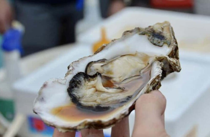 Tokyo: Ibaraki Day Trip with Hitachi Park & Fruit Picking - What This Tour Means for You