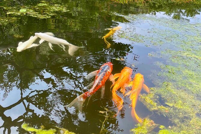 Tokyo: Imperial Palace Shogun Historical Walking Tour - A Deep Dive Into the Imperial Palace Guided Tour