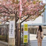 Tokyo in a Day: Iconic Must-Sees and Hidden Gems (Group Tour) - Authentic Experiences and Genuine Insights