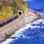 Tokyo: Izu Scenic Oceanview Train, Volcano, Coast Day Trip - Final Thoughts on the Izu Day Trip