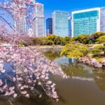 Tokyo: Japanese Garden Walking Tour with Tea and Sweets - Who Is This Tour Best For?