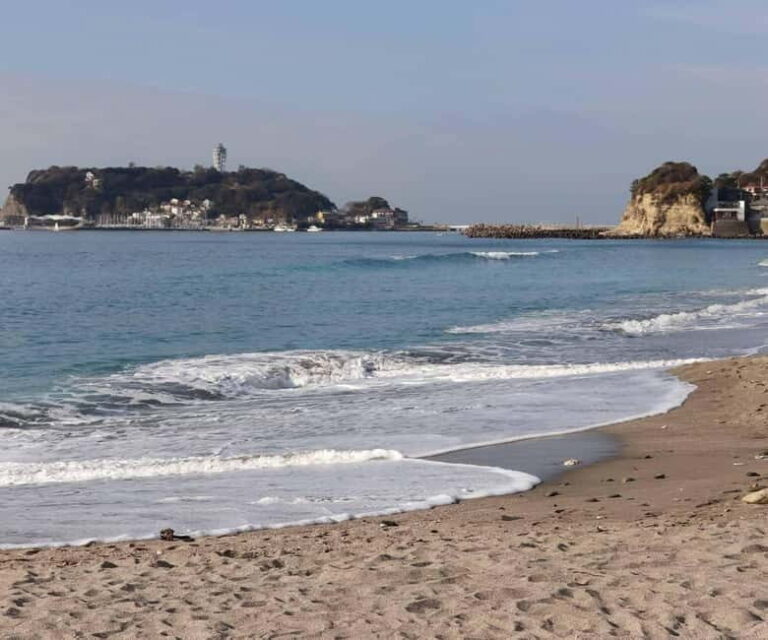 Tokyo: Kamakura & Enoshima Island /w Pick Up & Train Ride - Deep Dive into the Experience