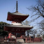 Tokyo: Kawagoe Private Day Trip with National Licenced Guide - Savoring Local Flavors and Historic Remains