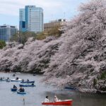 Tokyo Like a Local: Customized Private Tour - The Realities: Pros and Cons
