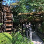 Tokyo: Little Adventure with Cycling and River Trekking - Final thoughts: Is this experience worth it?