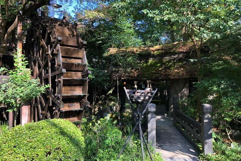 Tokyo: Little Adventure with Cycling and River Trekking - Final thoughts: Is this experience worth it?