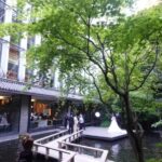 Tokyo Meguro River Private Cultural Tour with Licensed Guide - Who Would Love This Tour?