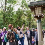 Tokyo: Meiji Shrine Historical Tour with Local Guide - What’s Included and What’s Not
