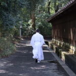 Tokyo Morning Highlights: Shibuya, Asakusa, Meiji Shrine - In-Depth Review of the Tokyo Morning Highlights Tour