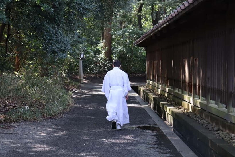 Tokyo Morning Highlights: Shibuya, Asakusa, Meiji Shrine - In-Depth Review of the Tokyo Morning Highlights Tour