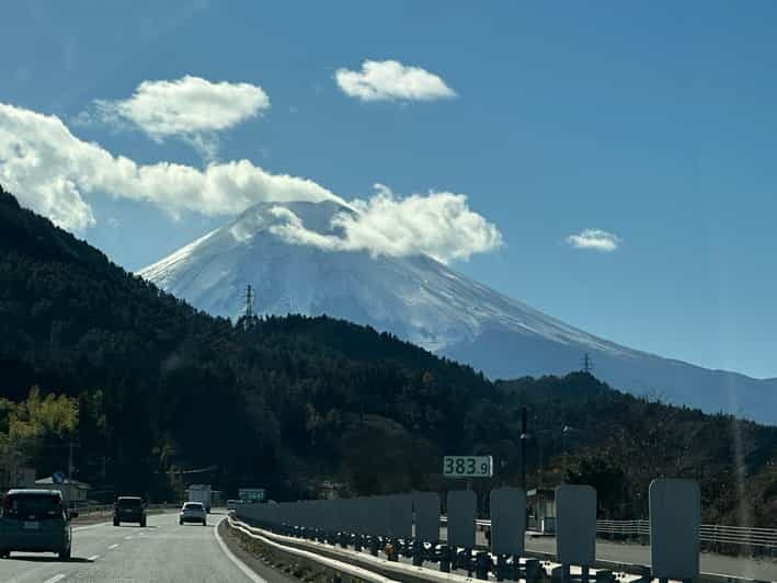 Tokyo: Mount Fuji and Hakone Private Sightseeing Day Tour - Final Thoughts: Is This Tour for You?