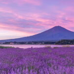 Tokyo: Mount Fuji Day Trip with Scenic & Local Stops - Considerations Before Booking
