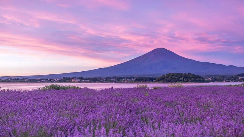 Tokyo: Mount Fuji Day Trip with Scenic & Local Stops - Considerations Before Booking