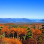 Tokyo: Mount Fuji, Gotemba Outlet, and Hakone Day Trip - Who Should Consider This Tour?