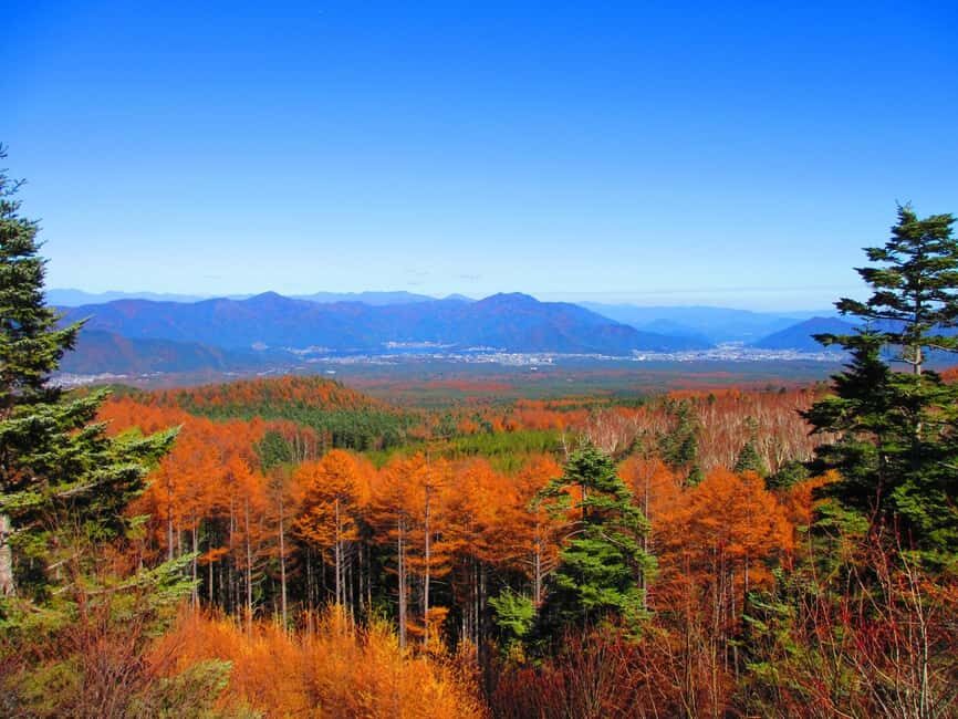 Tokyo: Mount Fuji, Gotemba Outlet, and Hakone Day Trip - Who Should Consider This Tour?