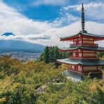 Tokyo: Mount Fuji & Hakone Private Customized Full Day Tour - Practical Details and What It Means for You