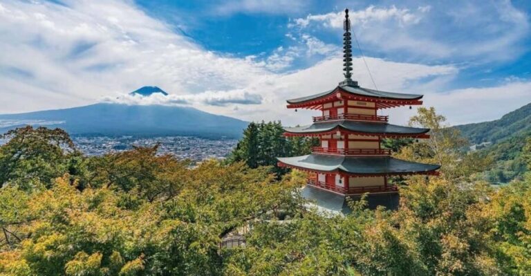 Tokyo: Mount Fuji & Hakone Private Customized Full Day Tour - Practical Details and What It Means for You