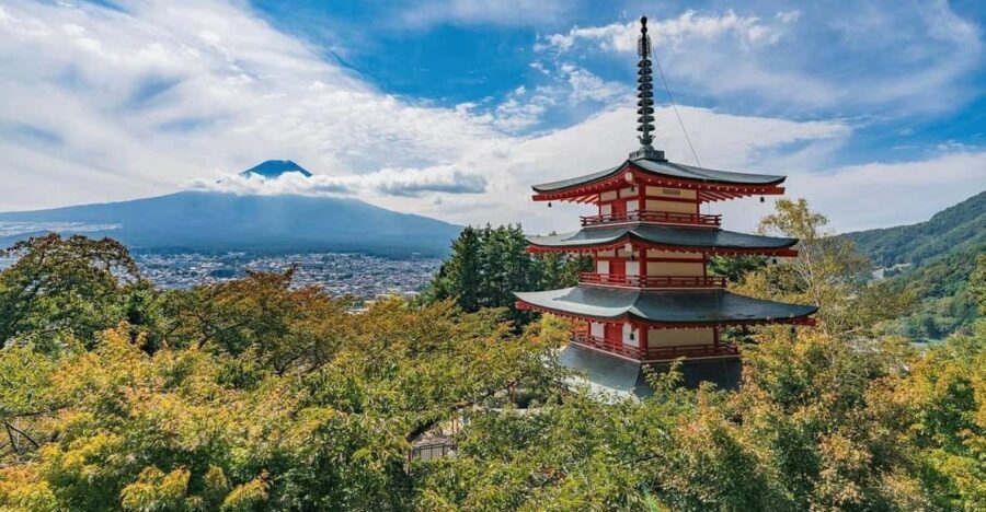 Tokyo: Mount Fuji & Hakone Private Customized Full Day Tour - Practical Details and What It Means for You