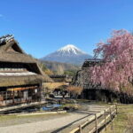 Tokyo: Mount Fuji Must-see Attractions One Day Sightseeing Tour - What Travelers Say