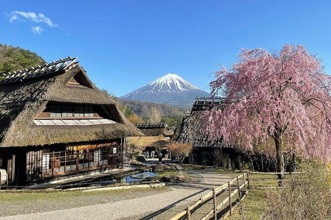Tokyo: Mount Fuji Must-see Attractions One Day Sightseeing Tour - What Travelers Say
