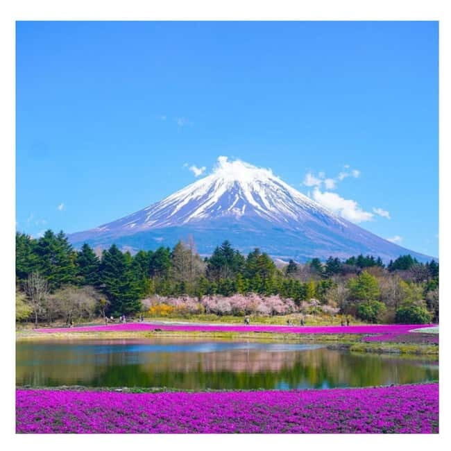 Tokyo: Mount Fuji Private Day Tour Comfortable Pickup & Drop - The Comfort and Practicality of the Tour