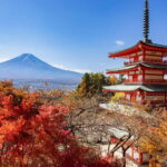 Tokyo: Mt. Fuji, Arakurayama Sengen Park, Oshino Hakkai Tour - Practical Details and Tips