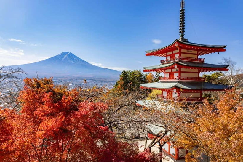 Tokyo: Mt. Fuji, Arakurayama Sengen Park, Oshino Hakkai Tour - Practical Details and Tips
