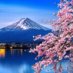 Tokyo: Mt. Fuji & Hakone Cherry Blossoms Private Day Tour - Who Would Love This Tour?
