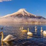 Tokyo Mt Fuji Kawaguchi and Yamanaka Onsen Tour with Pick up - Who Should Consider This Tour?