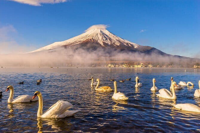 Tokyo Mt Fuji Kawaguchi and Yamanaka Onsen Tour with Pick up - Who Should Consider This Tour?