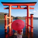 Tokyo: Mt. Fuji, Owakudani, Hakone Shrine, & Open-Air Museum - Who Will Enjoy This Tour?