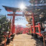 Tokyo: Mt.Fuji Private day Trip with English Speaking Driver - Breakdown of the Itinerary: What’s Included and Why It Matters